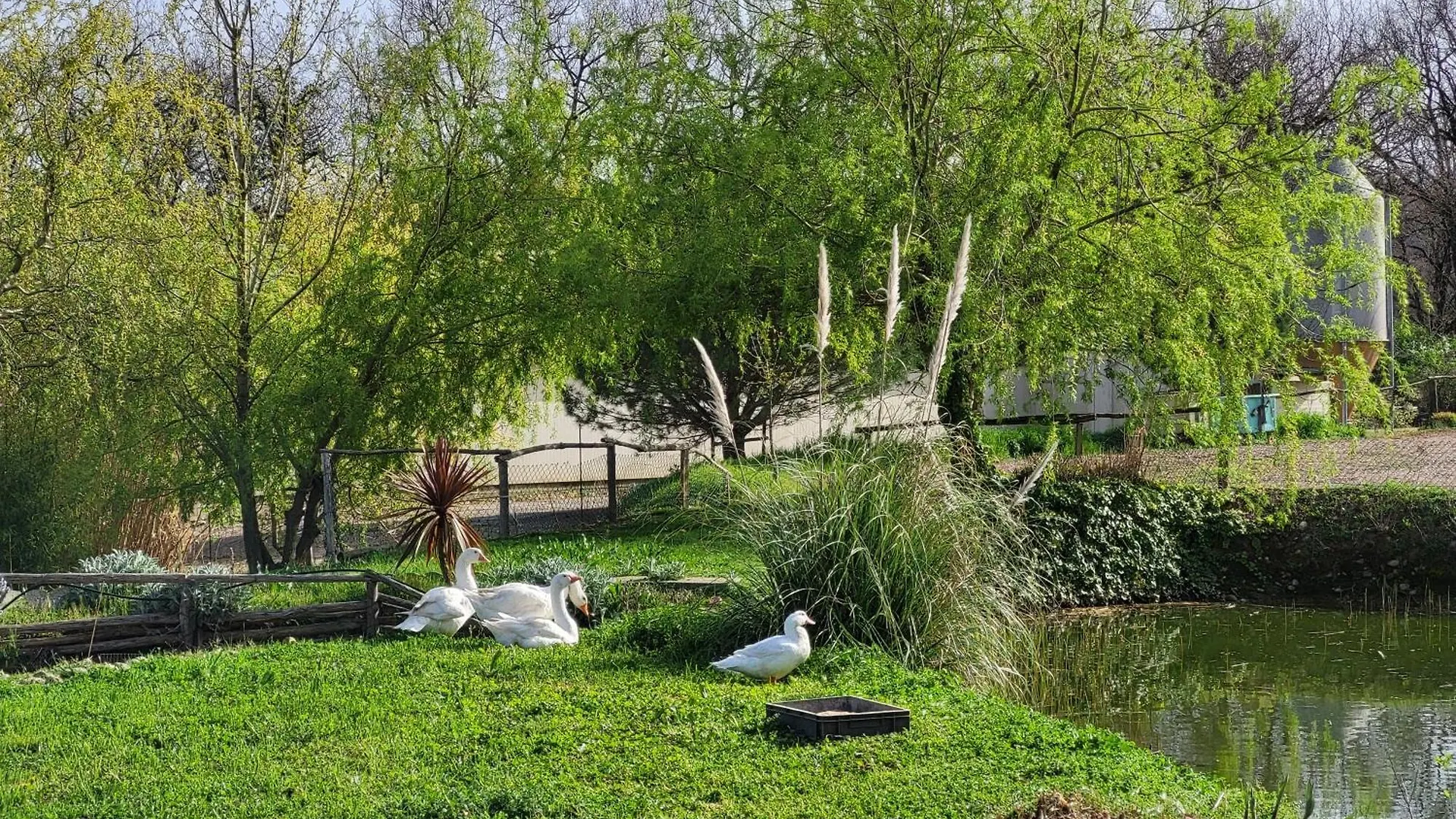 Capayrou - La Plume Villa Grazac  Grazac (Haute-Garonne)